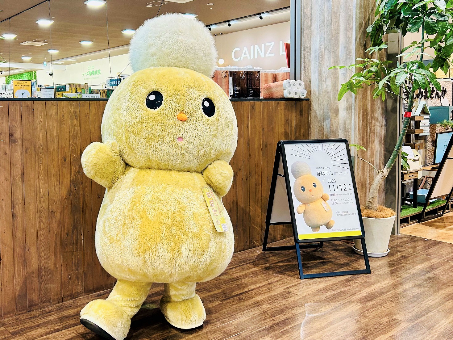 くみまちモールあさかに「ぽぽたん」がやって来ました！😲 | 【公式