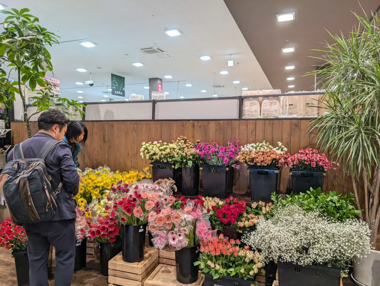 47 秋風マルシェ　パルカ　マツリカ　未開封 オトメイト 秋風マルシェ マツリカ パルカ 未開封 秋風マルシェ2025