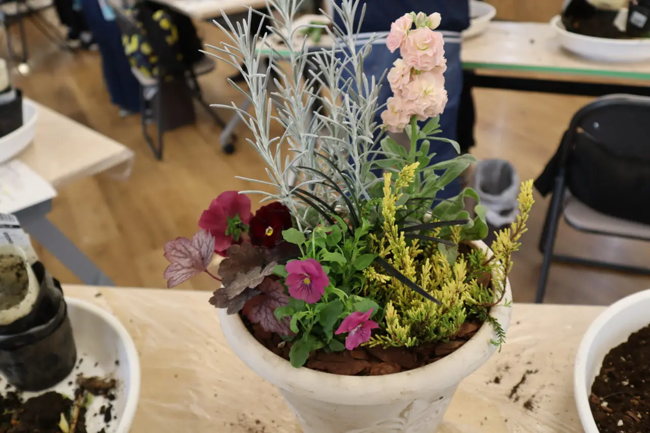 寄せ植えWORK SHOP🥀2024/8～12の開催レポート🌹 | 【公式】くみまち