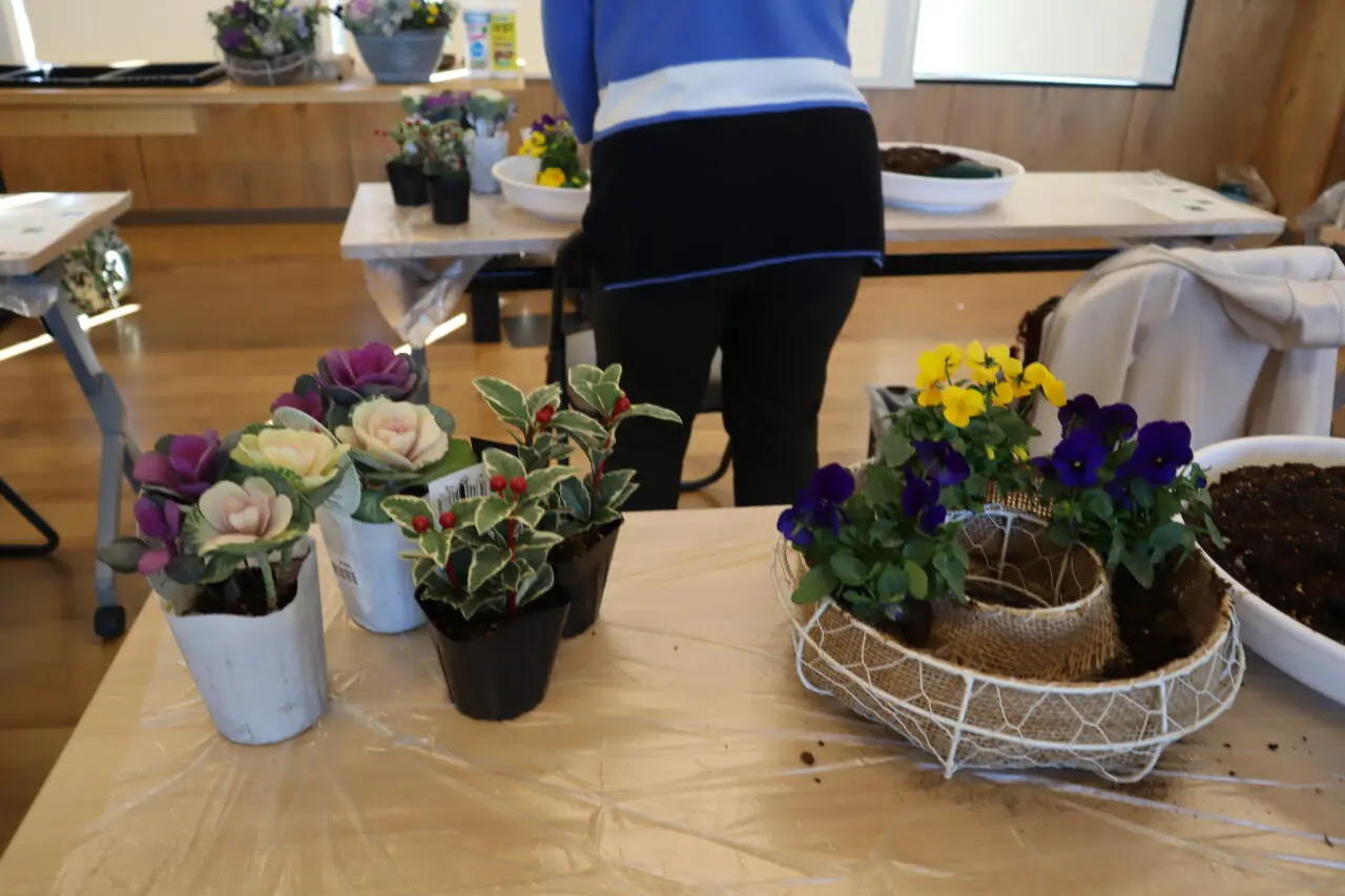 寄せ植えWORK SHOP🥀2024/8～12の開催レポート🌹 | 【公式】くみまち