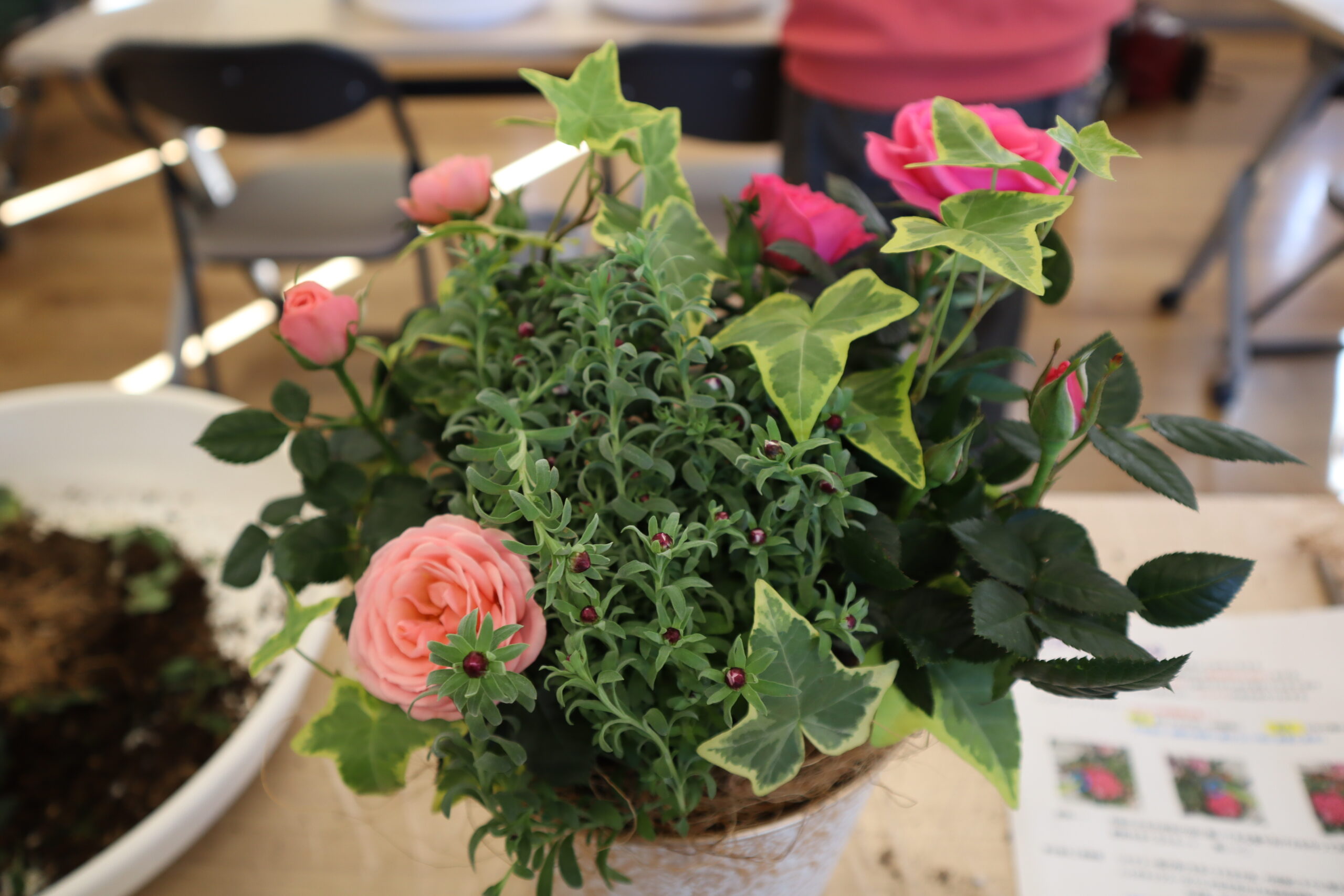 1月の寄せ植えWORK SHOPを開催しました🌹 | 【公式】くみまちモールあさか